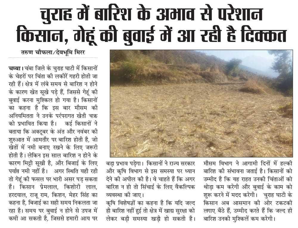 *चुराह में बारिश के अभाव से पर...