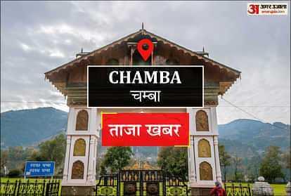 Chamba News: पालतू कुत्तों का...