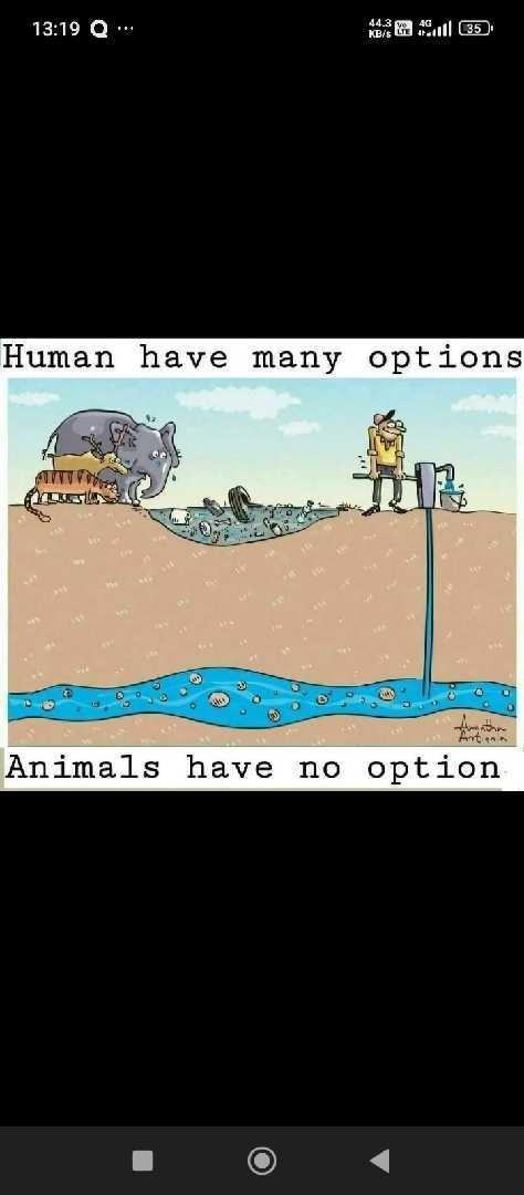 Save Your Animal