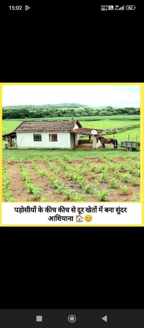 Alone Is Happy