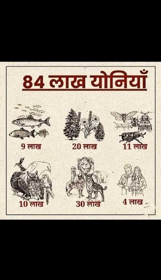 84 लाख योनियाँ