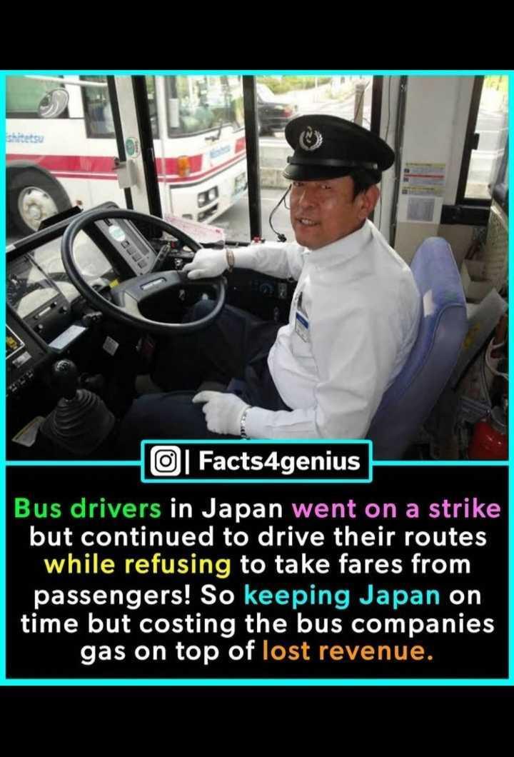 Bus Driver