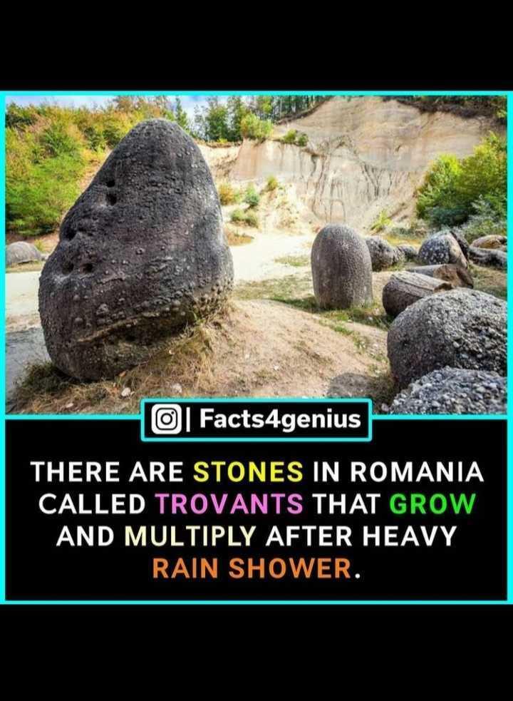 Fact Genius