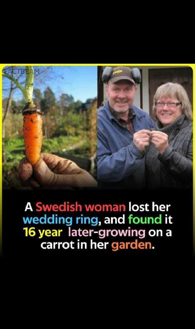A Swedish Woman